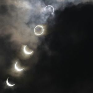 Meet your Posher, Audrey